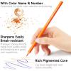 Shuttle Art Colored Pencils Bulk, 408 Pack Coloring Pencil Set Plus 20 Sharpeners, 12 Assorted Colors, Classroom Pack School Supplies