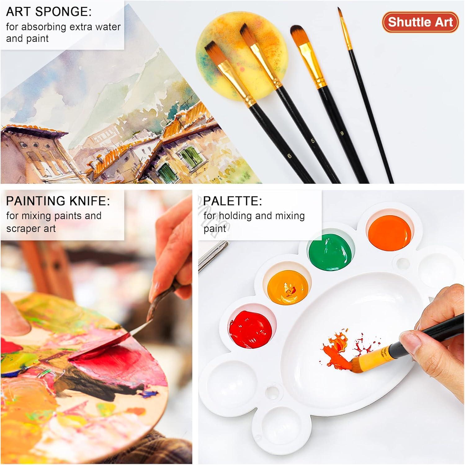 imageShuttle Art Artist Paint Brush Set18 Pcs Different Shapes ampamp Sizes Paint Brushes Bonus Palette Knife ampamp Sponge for Acrylic Watercolor Oil and Gouache Painting with Standable Organizing Case