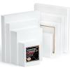 Canvases for Painting, Shuttle Art 34 Pack Multi Sizes Stretched Canvas and Canvas Panels, 5×7”, 8×10”, 9×12”, 11×14”, 100% Cotton Primed Canvas Boards for Painting, Blank Canvas for Acrylic Oil Paint