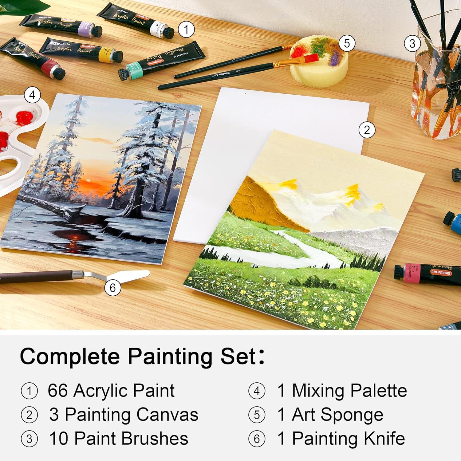 image:imageShuttle Art Acrylic Painting Bundle Set for 66 Colors Acrylic Paint in Tubes 22ml074oz 36 Multi Pack Painting Canvas Panels