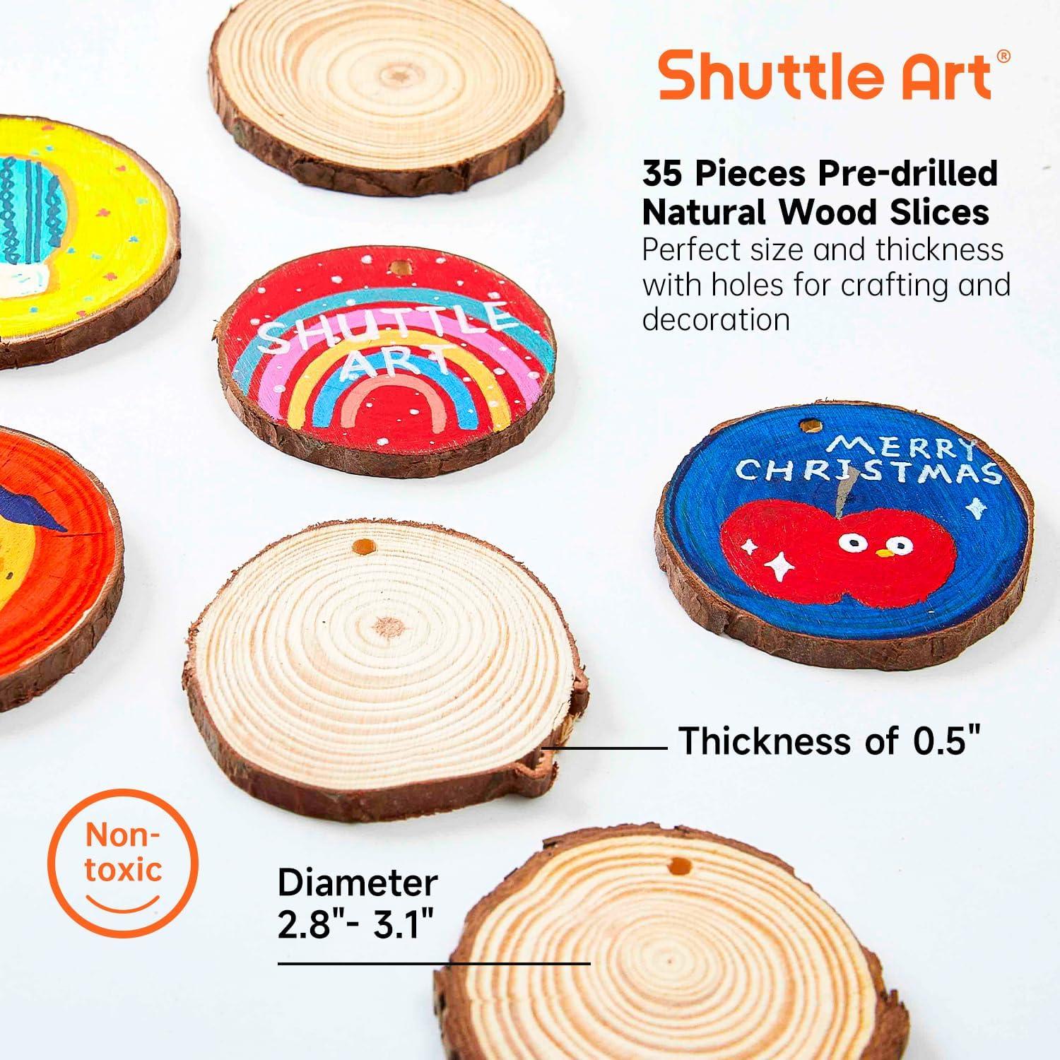 image:imageShuttle Art Acrylic Paint Markers and Wood Slices Kit Set of 25 Colors Dual Tip Acrylic Paint Markers 35 PCS Wood Slices Kit
