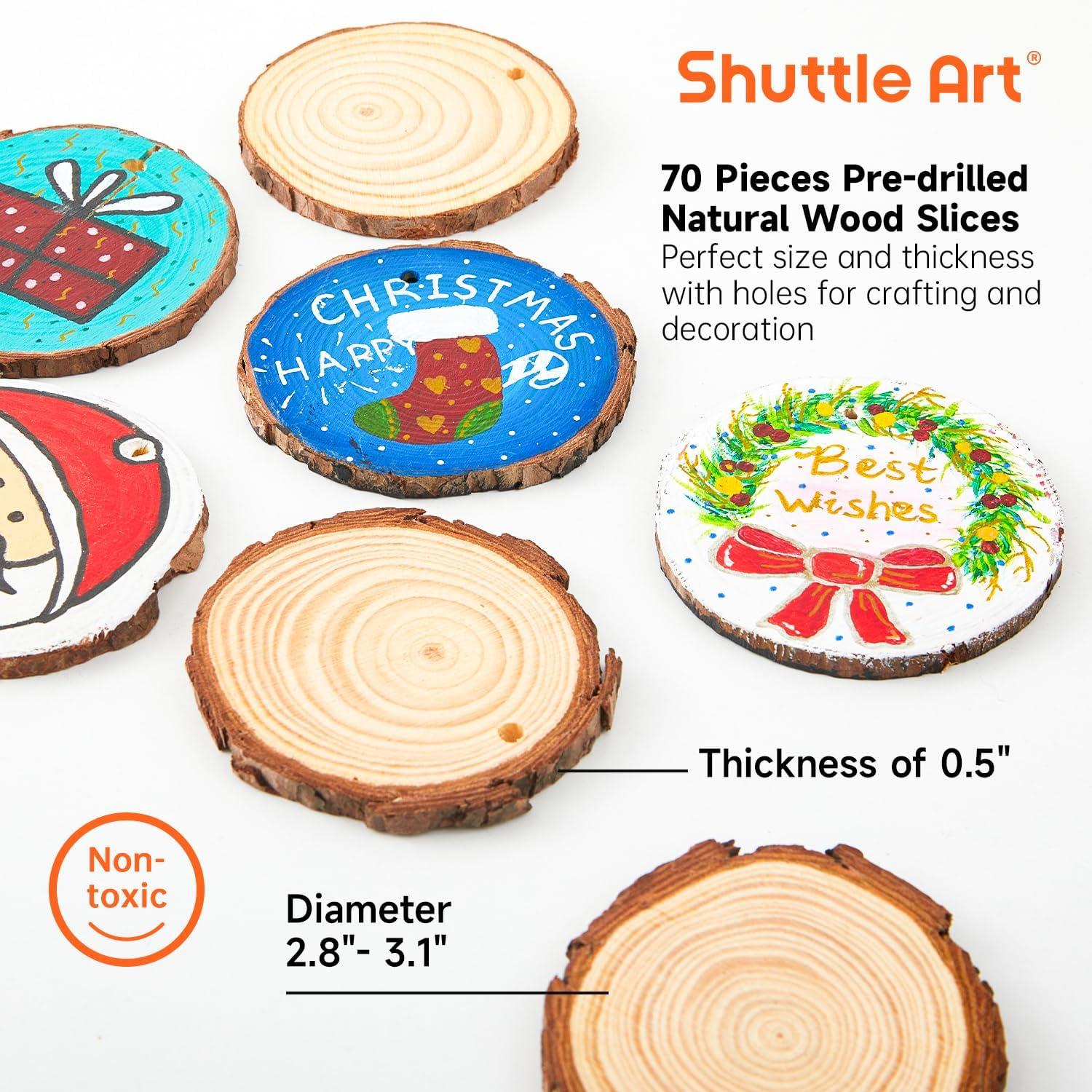 image:imageShuttle Art Acrylic Paint Set and Wood Slices Kit Bundle Set of 16 Colors Acrylic Paint Set with 3 paint brushes 70 PCS Wood Slices Kit