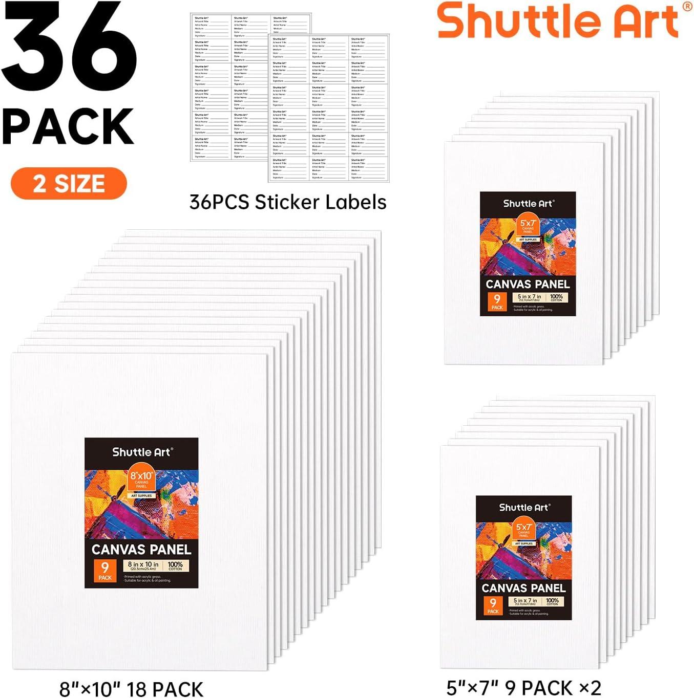 image:imageShuttle Art Canvas Panels and Acrylic Paint Bundle Art Painting Supplies Set for 18 Colors Acrylic Paint Bottles 240ml812oz amp 36 Pack Painting Canvas 5x7 8x10in